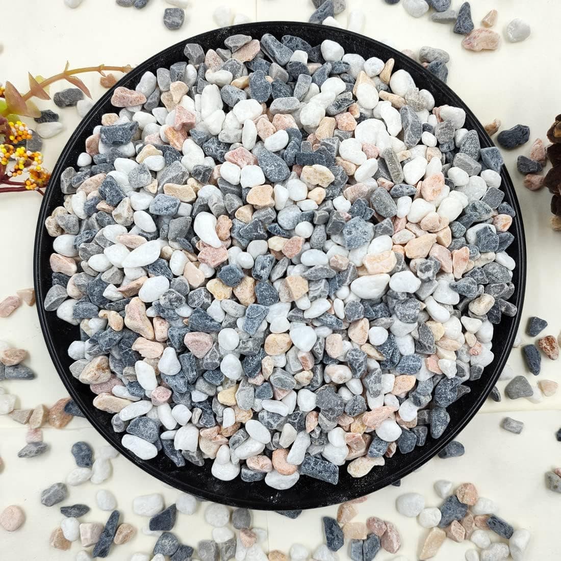 YISZM Succulent and Cactus Gravel, 2 lb